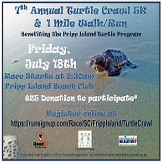 Turtle Crawl